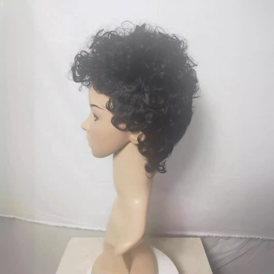 Female short hair with small curly hair wig 1024121107