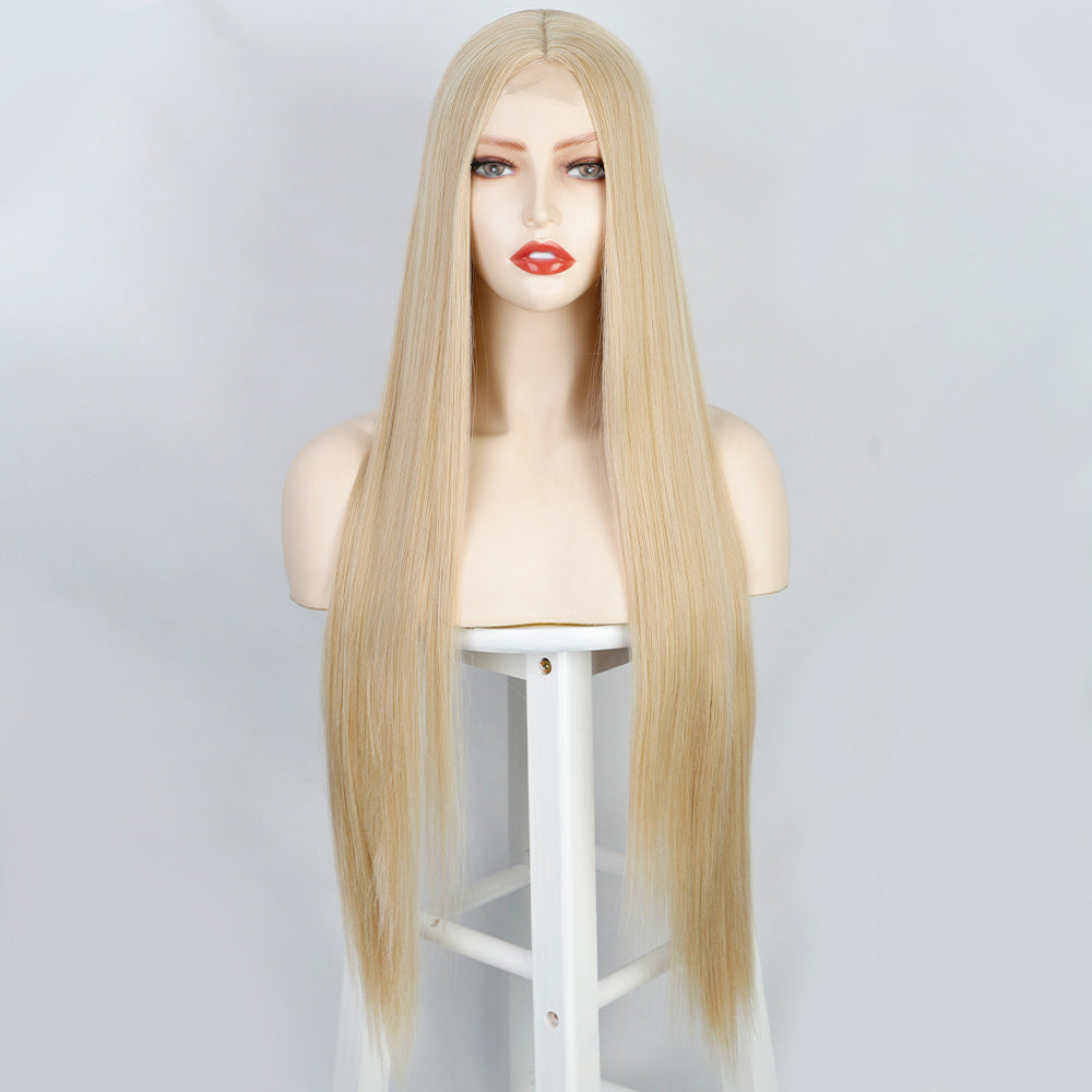 Front lace long straight wig 1024120903