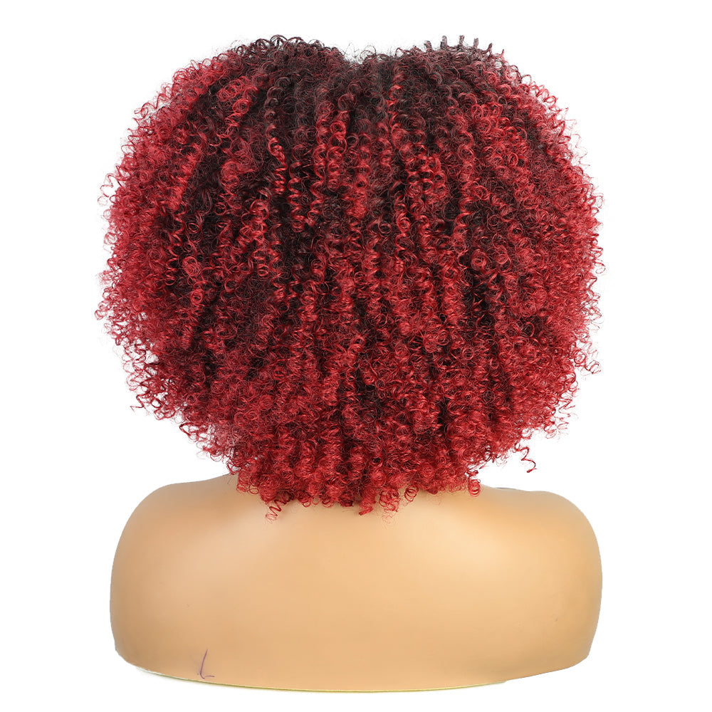 Ladies' explosive hair curly wig 1024121209