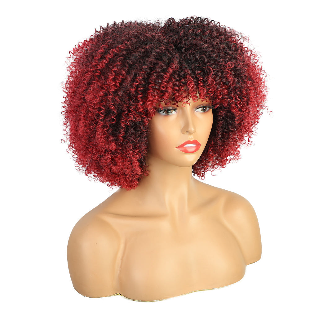 Ladies' explosive hair curly wig 1024121209